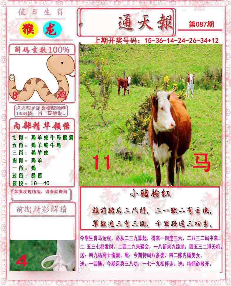 087期马经通天报[图]