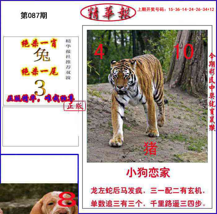 087期新精华报报[图]